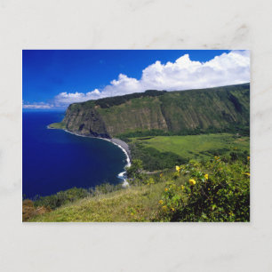 Hawaii Beauful Beach en Mountains Briefkaart