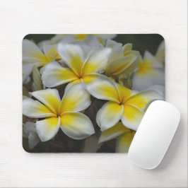 Hawaii Beauty: Plumeria-fotografie fascineren Muismat