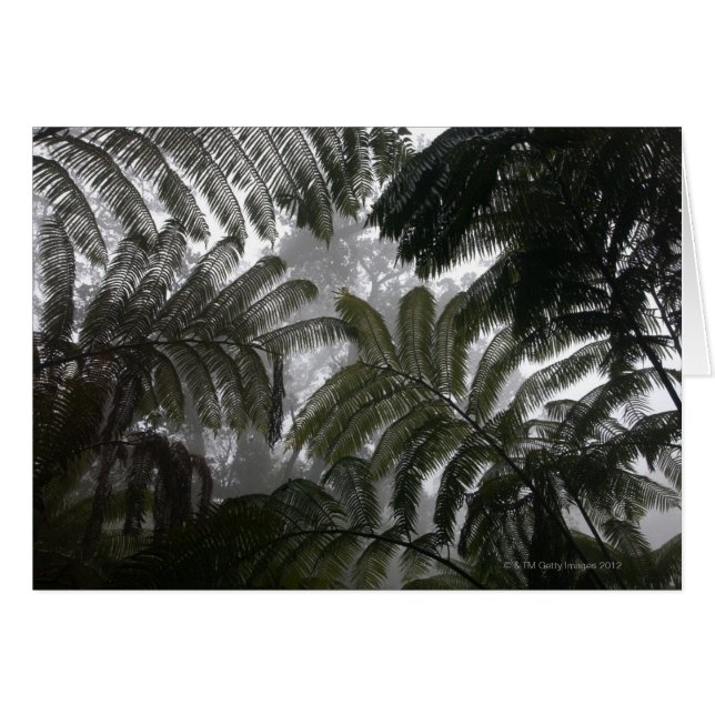 Hawaii, Big Island, Hawaii Volcanoes National (Voorkant Horizontaal)