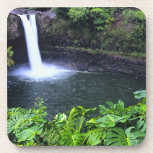 Hawaii, Big Island, Hilo, Rainbow Falls, Weelderig Bier Onderzetter