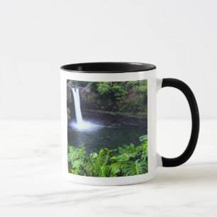 Hawaii, Big Island, Hilo, Rainbow Falls, Weelderig Mok