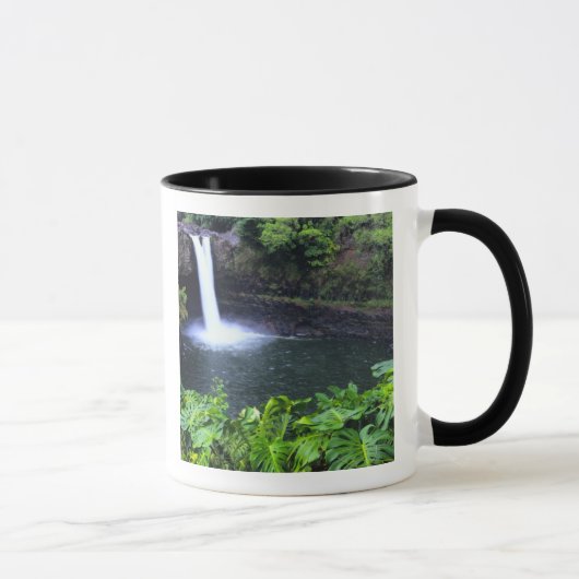 Hawaii, Big Island, Hilo, Rainbow Falls, Weelderig Mok (Rechts)