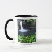 Hawaii, Big Island, Hilo, Rainbow Falls, Weelderig Mok (Links)