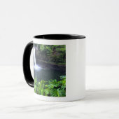 Hawaii, Big Island, Hilo, Rainbow Falls, Weelderig Mok (Voorkant links)