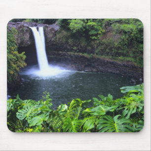 Hawaii, Big Island, Hilo, Rainbow Falls, Weelderig Muismat