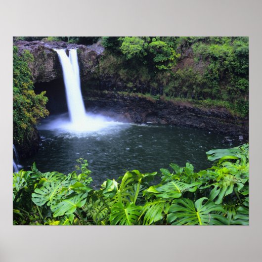 Hawaii, Big Island, Hilo, Rainbow Falls, Weelderig Poster (Voorkant)