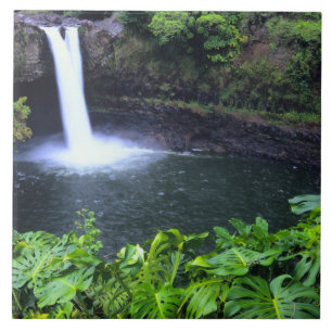 Hawaii, Big Island, Hilo, Rainbow Falls, Weelderig Tegeltje
