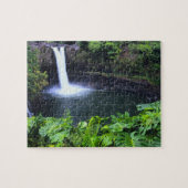 Hawaii, Big Island, Hilo, Rainbow Herfsten, Lush Legpuzzel (Horizontaal)