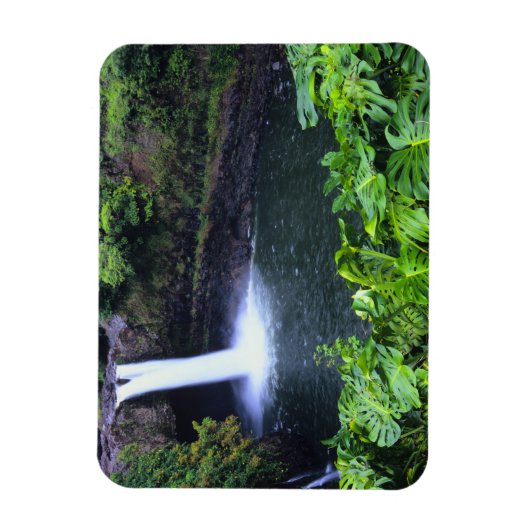 Hawaii, Big Island, Hilo, Rainbow Herfsten, Lush Magneet (Verticaal)