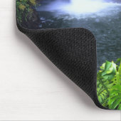 Hawaii, Big Island, Hilo, Rainbow Herfsten, Lush Muismat (Hoek)