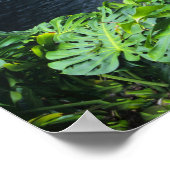 Hawaii, Big Island, Hilo, Rainbow Herfsten, Lush Poster (Hoek)