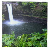 Hawaii, Big Island, Hilo, Rainbow Herfsten, Lush Tegeltje (Voorkant)