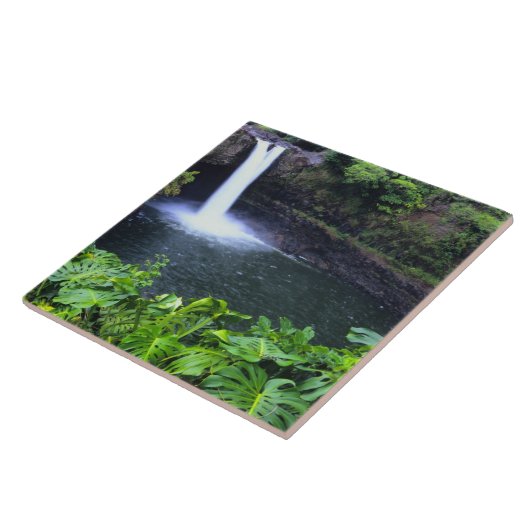 Hawaii, Big Island, Hilo, Rainbow Herfsten, Lush Tegeltje (Zijkant)