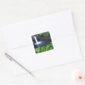 Hawaii, Big Island, Hilo, Rainbow Herfsten, Lush Vierkante Sticker (Envelop)