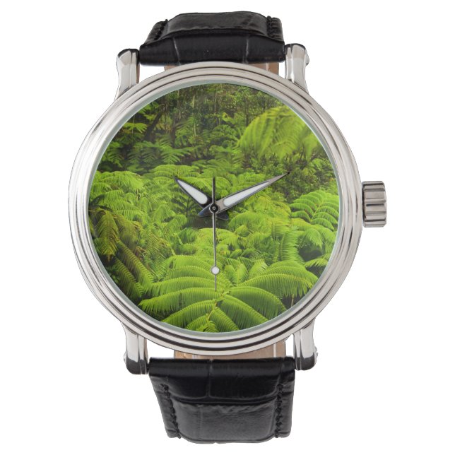 Hawaii, Big Island, Lush tropical greenery in Horloge (Voorkant)