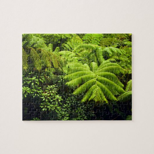 Hawaii, Big Island, Lush tropische groen in 2 Legpuzzel (Horizontaal)