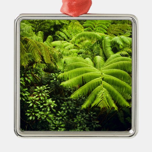 Hawaii, Big Island, Lush tropische groen in 2 Metalen Ornament (Voorkant)