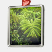 Hawaii, Big Island, Lush tropische groen in 2 Metalen Ornament (Links)
