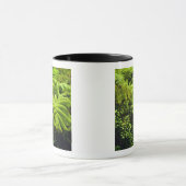 Hawaii, Big Island, Lush tropische groen in 2 Mok (Midden)