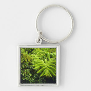 Hawaii, Big Island, Lush tropische groen in 2 Sleutelhanger