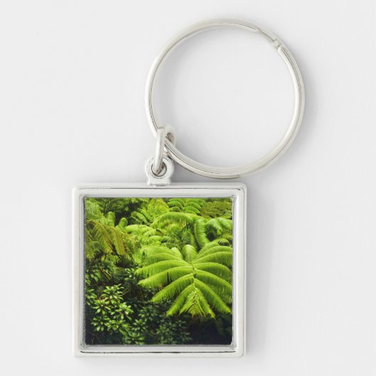 Hawaii, Big Island, Lush tropische groen in 2 Sleutelhanger (Voorkant)