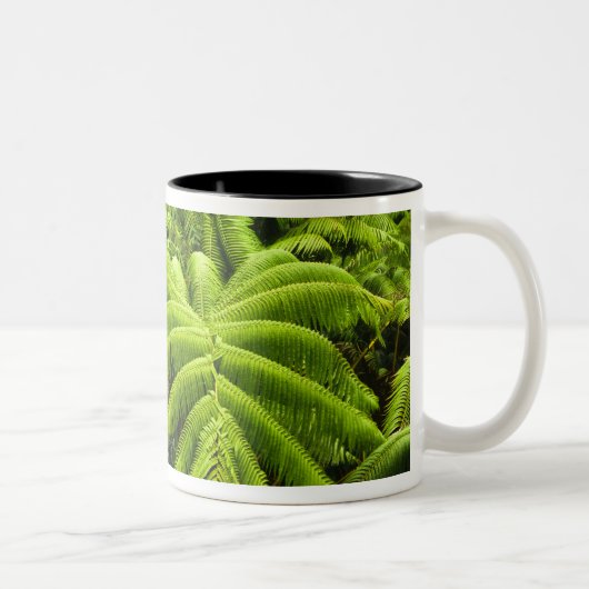Hawaii, Big Island, Lush tropische groen in 2 Tweekleurige Koffiemok (Rechts)