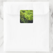 Hawaii, Big Island, Lush tropische groen in 2 Vierkante Sticker (Tas)