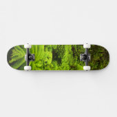 Hawaii, Big Island, Lush tropische groen in Skateboard (Horizontaal)