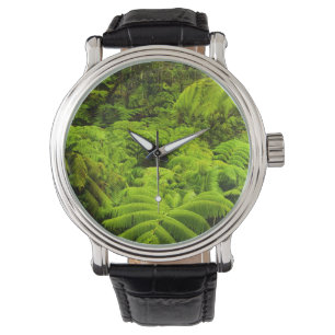 Hawaii, Big Island, Weelderig tropisch groen in Horloge