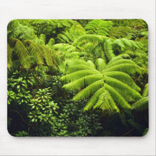 Hawaii, Big Island, Weelderige tropische begroeiin Muismat