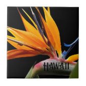 Hawaii Bird of Paradise Plant Bloem Tegeltje (Voorkant)