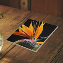 Hawaii Bird of Paradise Plant Bloem
