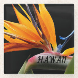 Hawaii Bird of Paradise Plant Flower Glazen Onderzetter