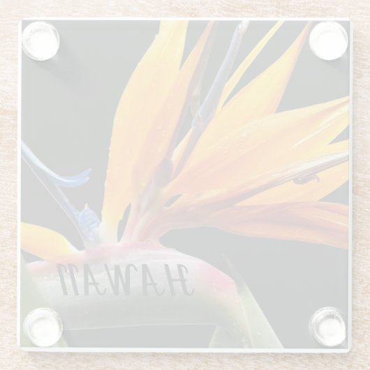 Hawaii Bird of Paradise Plant Flower Glazen Onderzetter (Achterkant)