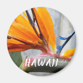 Hawaii Bird of Paradise Plant Flower Magneet (Voorkant)