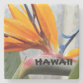 Hawaii Bird of Paradise Plant Flower Stenen Onderzetter (Voorkant)