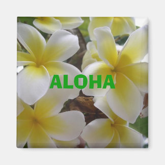 hawaii bloemen1, ALOHA Magneet