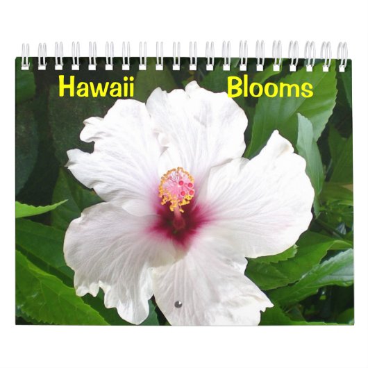 Hawaii Blooms Kalender (Hoes)