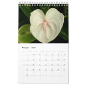 Hawaii Blooms Kalender (Feb 2027)