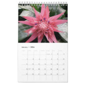 Hawaii Blooms Kalender (Jan 2026)