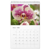 Hawaii Blooms Kalender (Mar 2026)