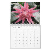 Hawaii Blooms met bloemen Kalender (Jan 2027)