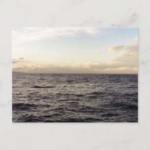 Hawaii Blue Briefkaart