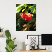 Hawaii botanica 9b poster (Thuiskantoor)