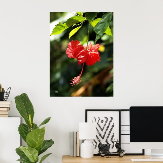 Hawaii botanica 9b poster (Thuiskantoor)