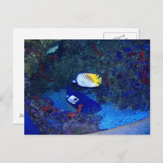 Hawaii Briefkaart (Voorkant / Achterkant)