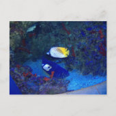 Hawaii Briefkaart (Voorkant)