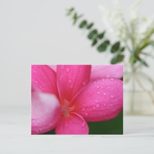 Hawaii Briefkaart (Staand voorkant)