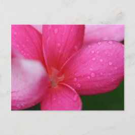 Hawaii Briefkaart