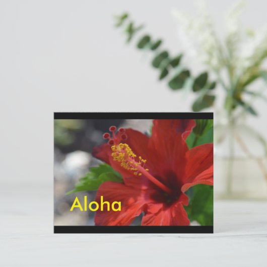Hawaii Briefkaarten (Staand voorkant)